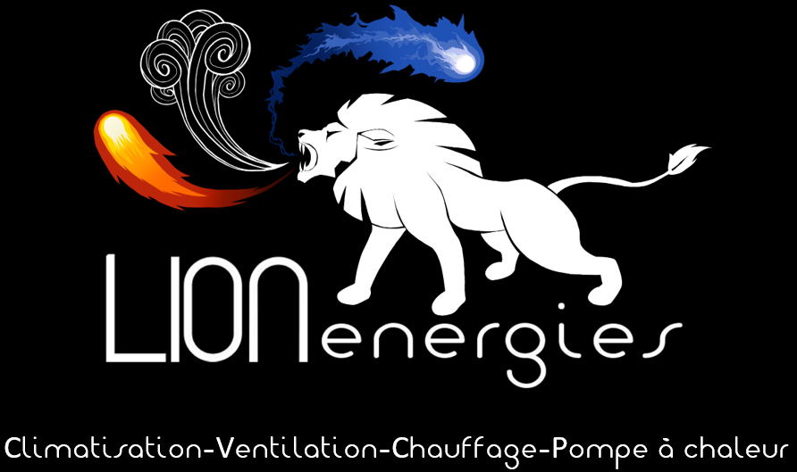 Lion energies